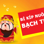 nuoi lo bach thu