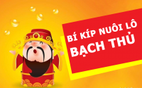 nuoi lo bach thu