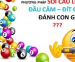 Phương pháp soi cầu lô câm - Đầu, đít câm đánh con gì?
